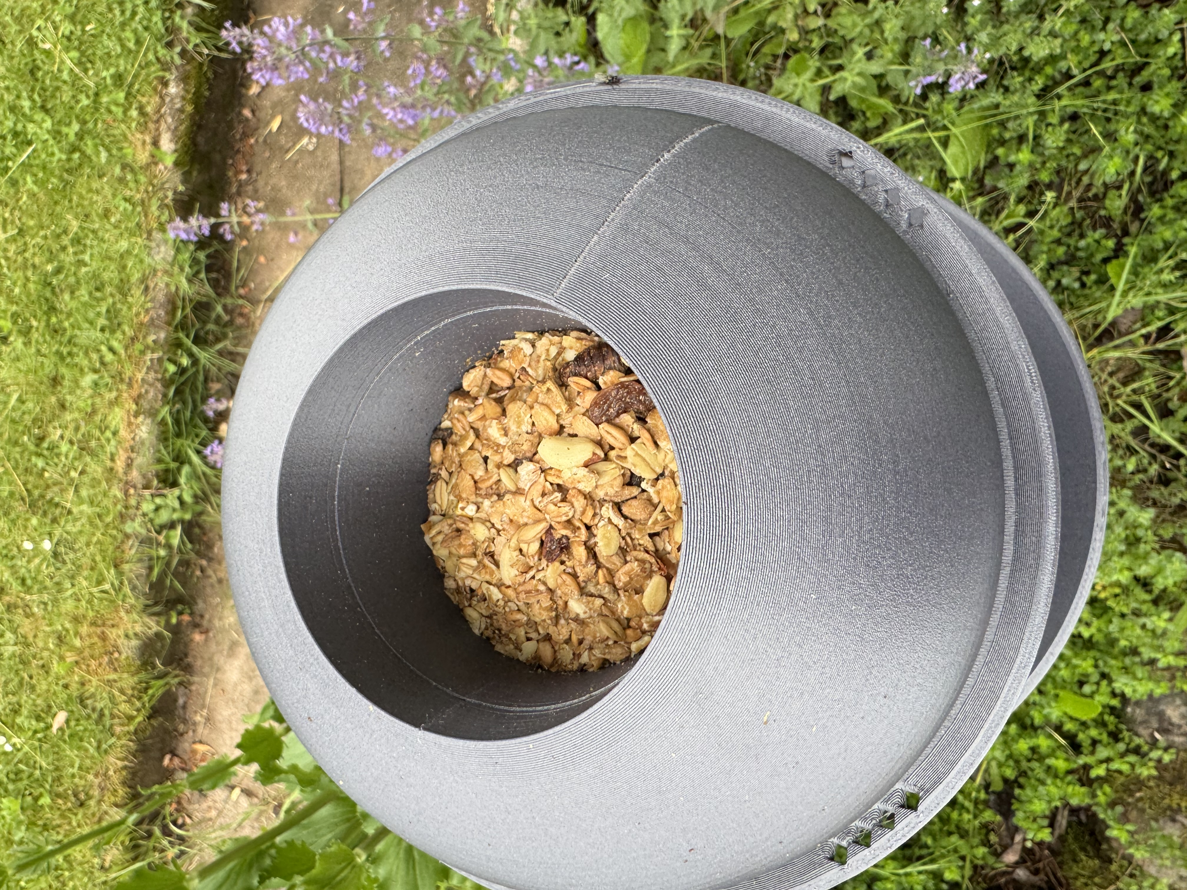 Bird Feeder — thumbnail 3