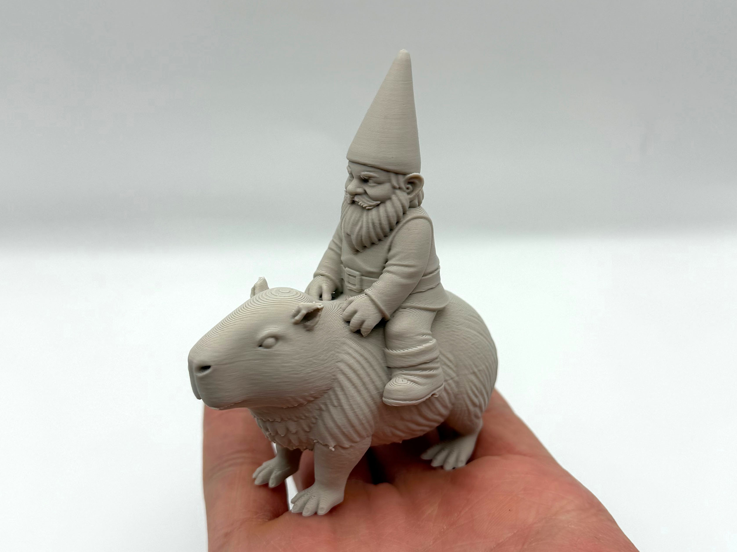 Gnome Riding Capybara