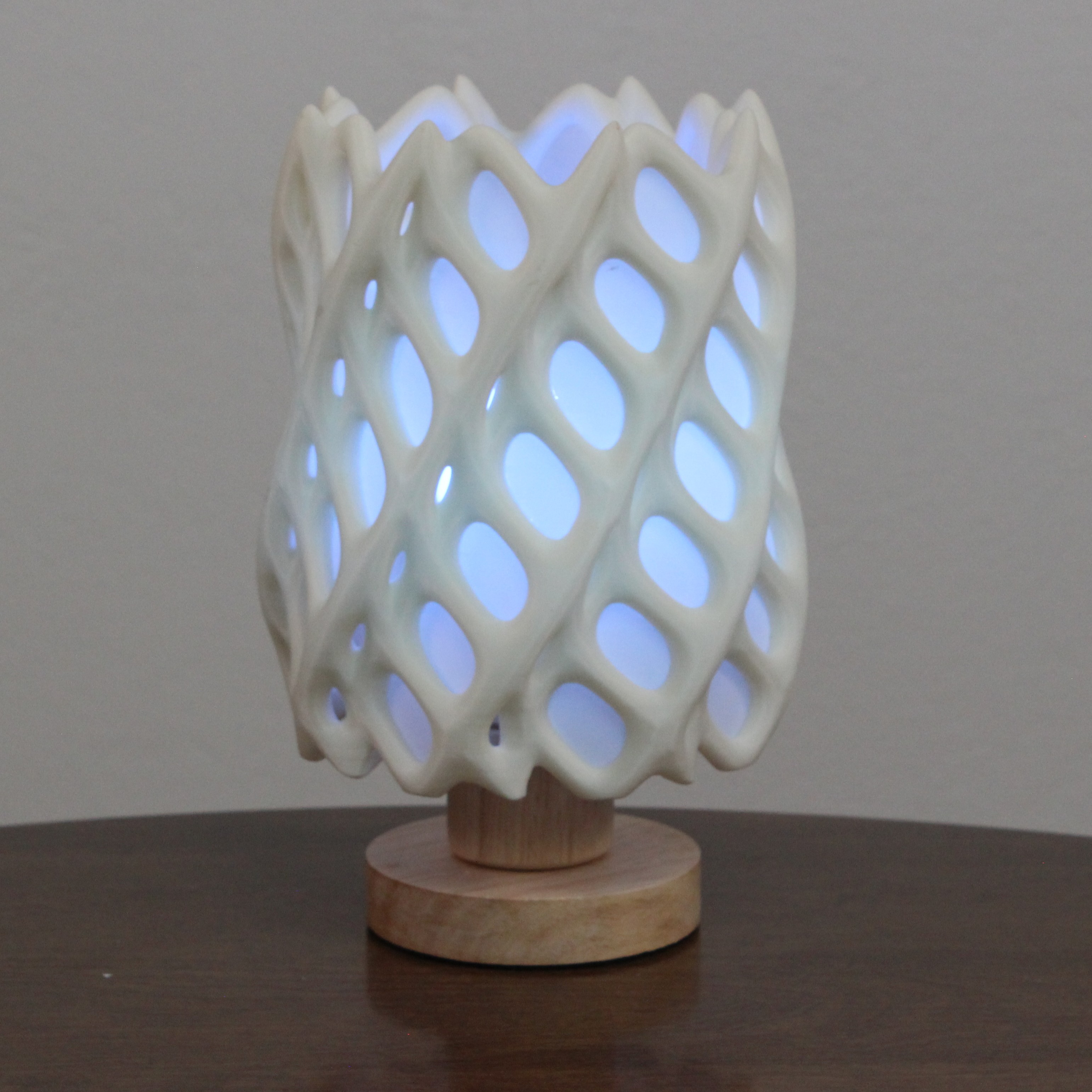 Cholla Cactus Lamp — miniatura 3