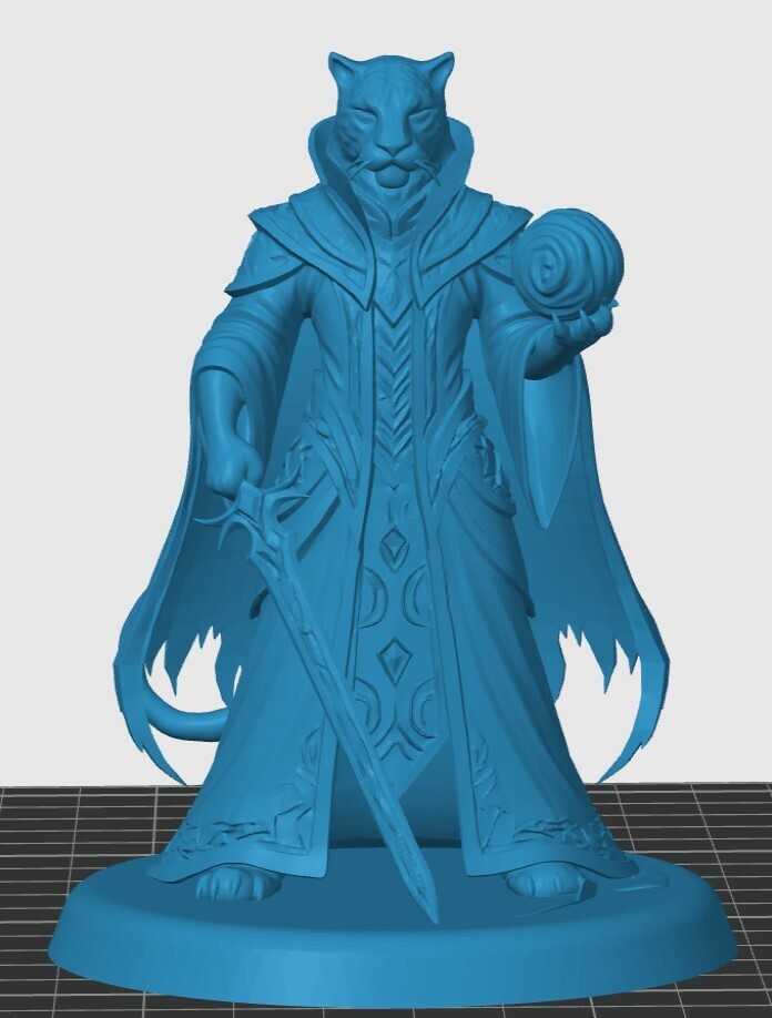 Tabaxi Warlock — miniatura 5