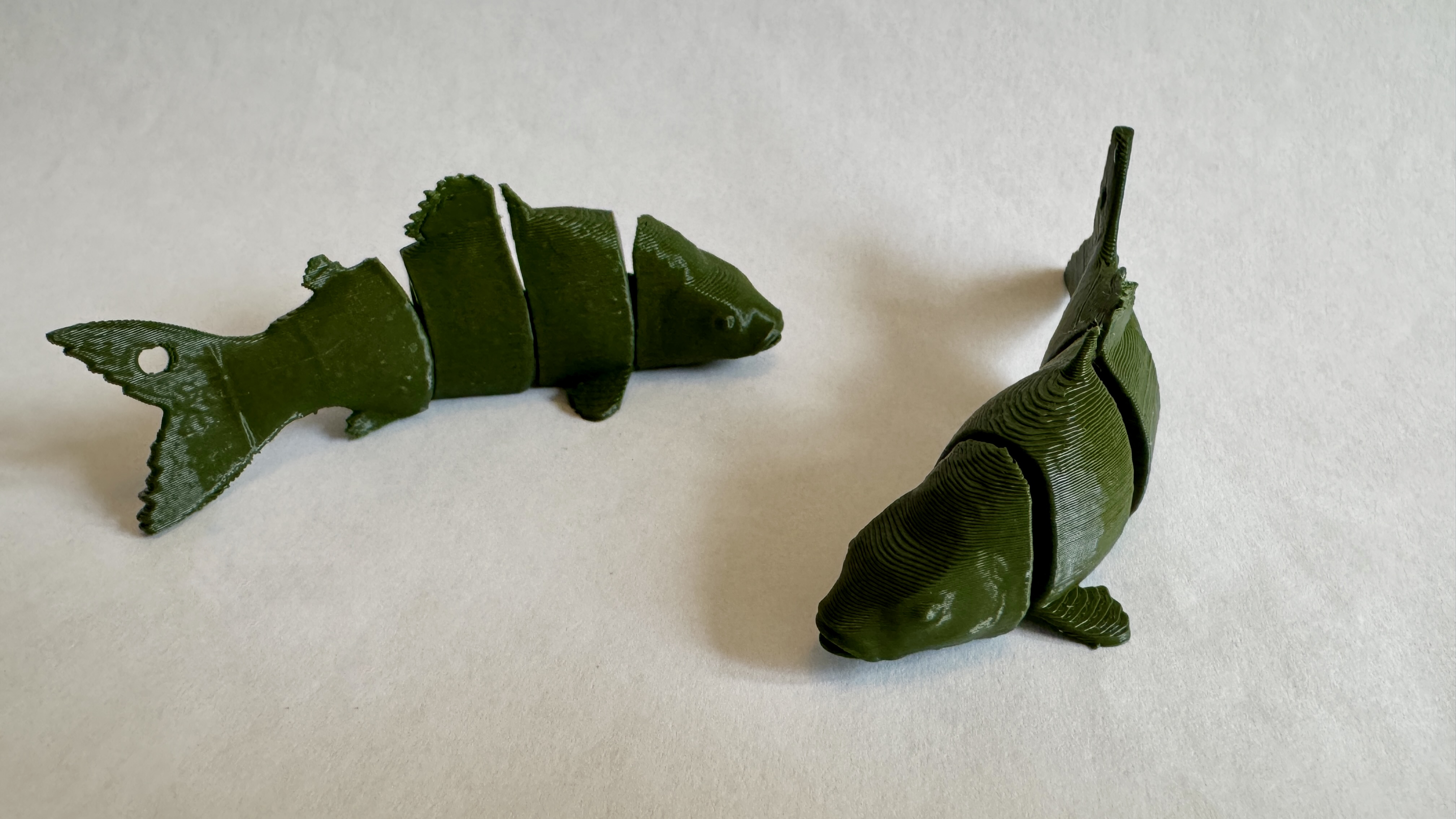 Articulated Flexi Carp/Kapr