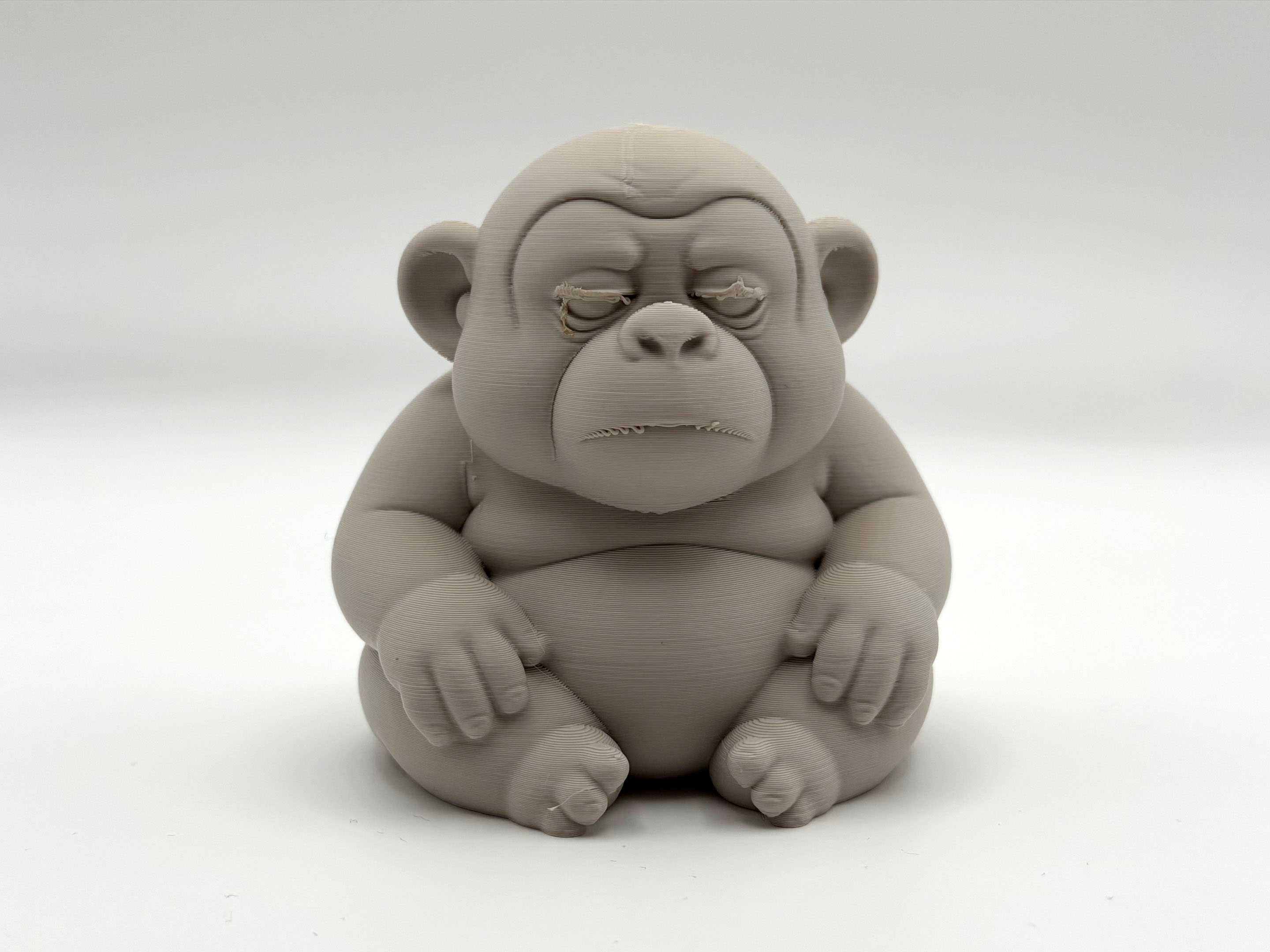 Lazy Chonky Monkey — thumbnail 5