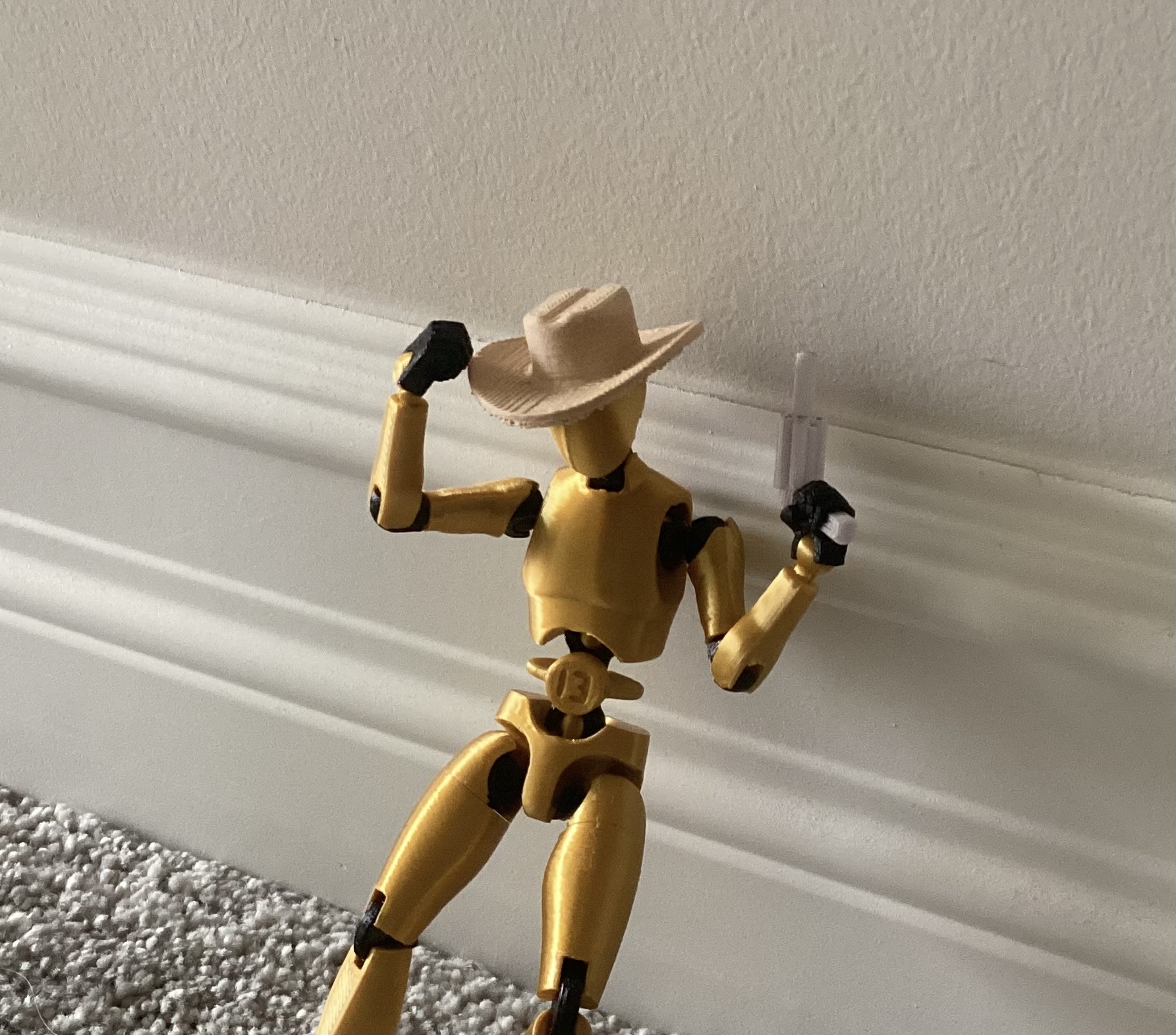 Carbon 13 Cowboy Hat