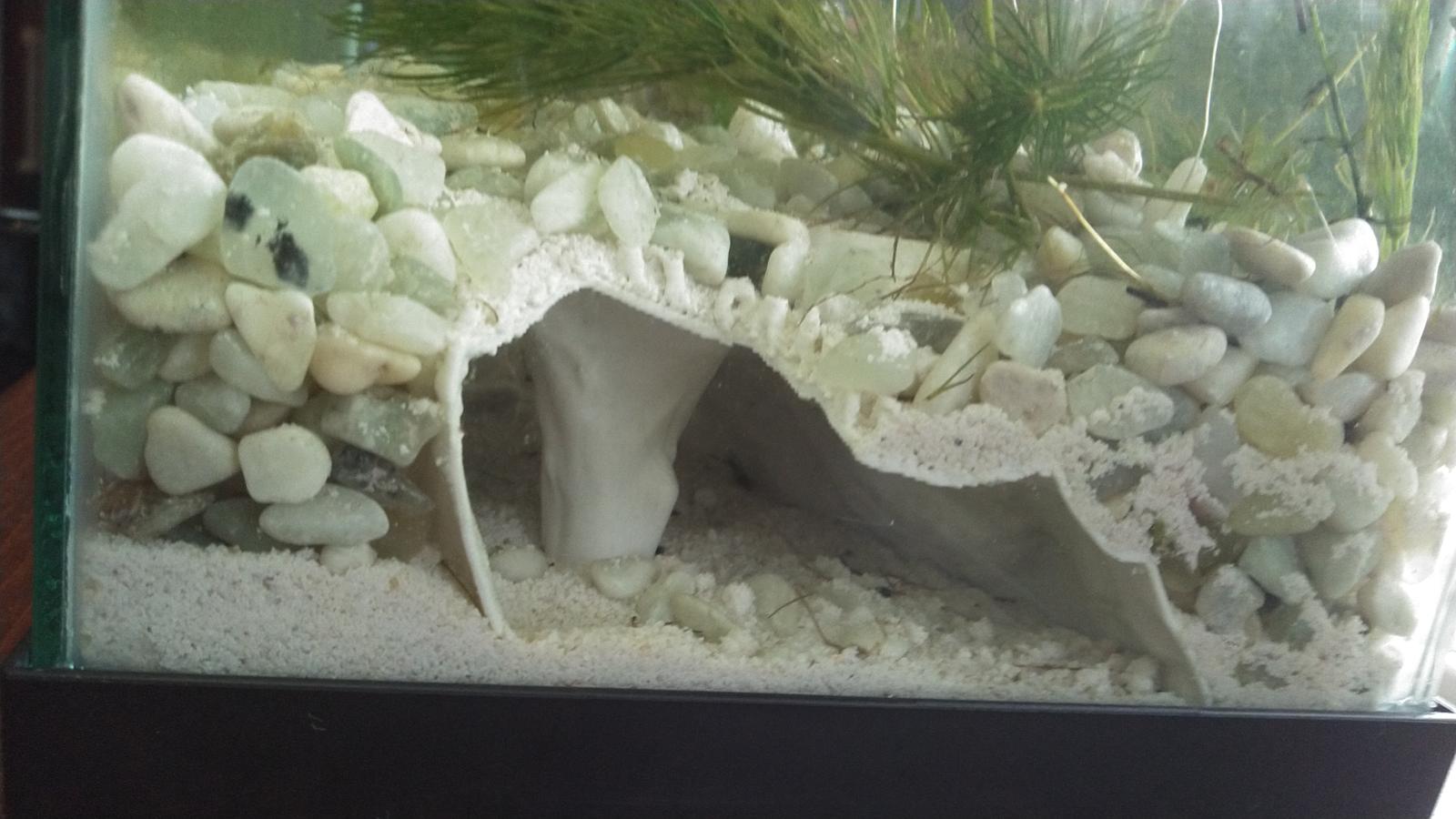 Aquarium Cave 1 Remix -Snail Escape Hole Edition