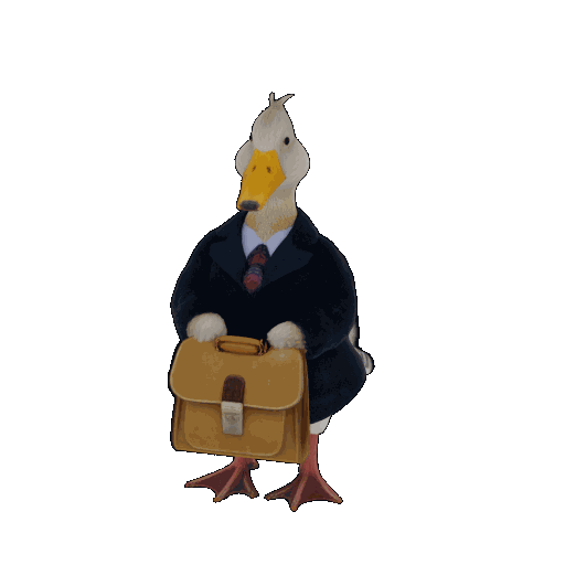 Duck