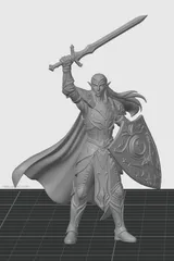 D&D Elf Warrior / Paladin with Sword and Shield
