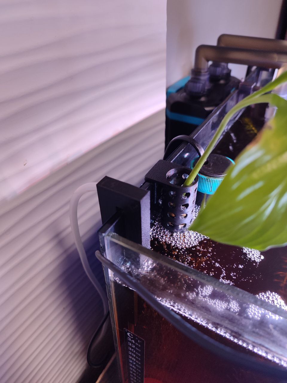 Aquarium plant holder
