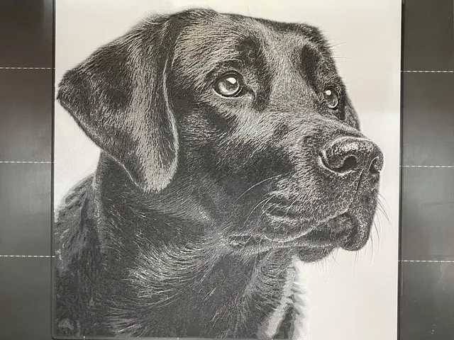 Black Lab Portrait
