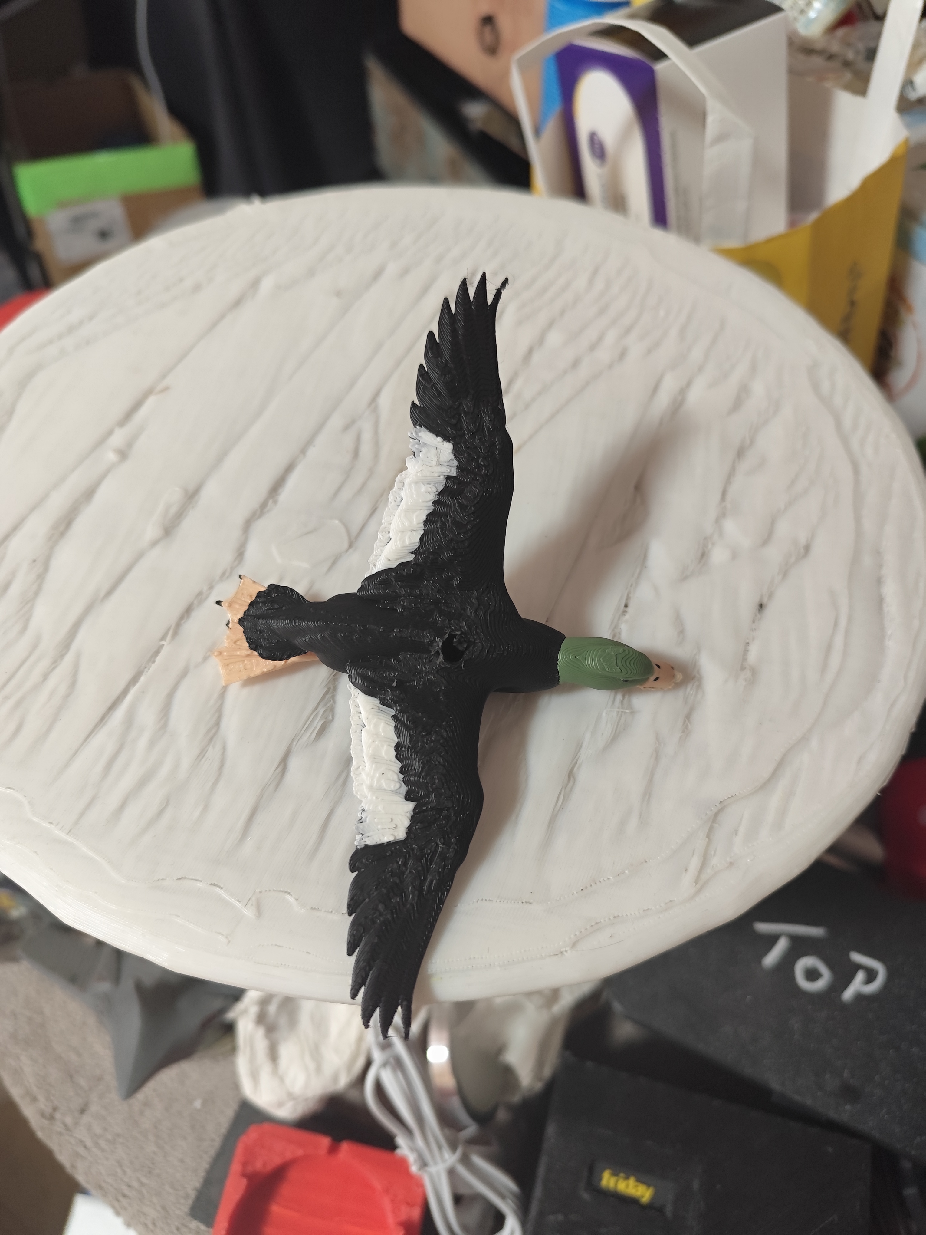 mallard duck in flight