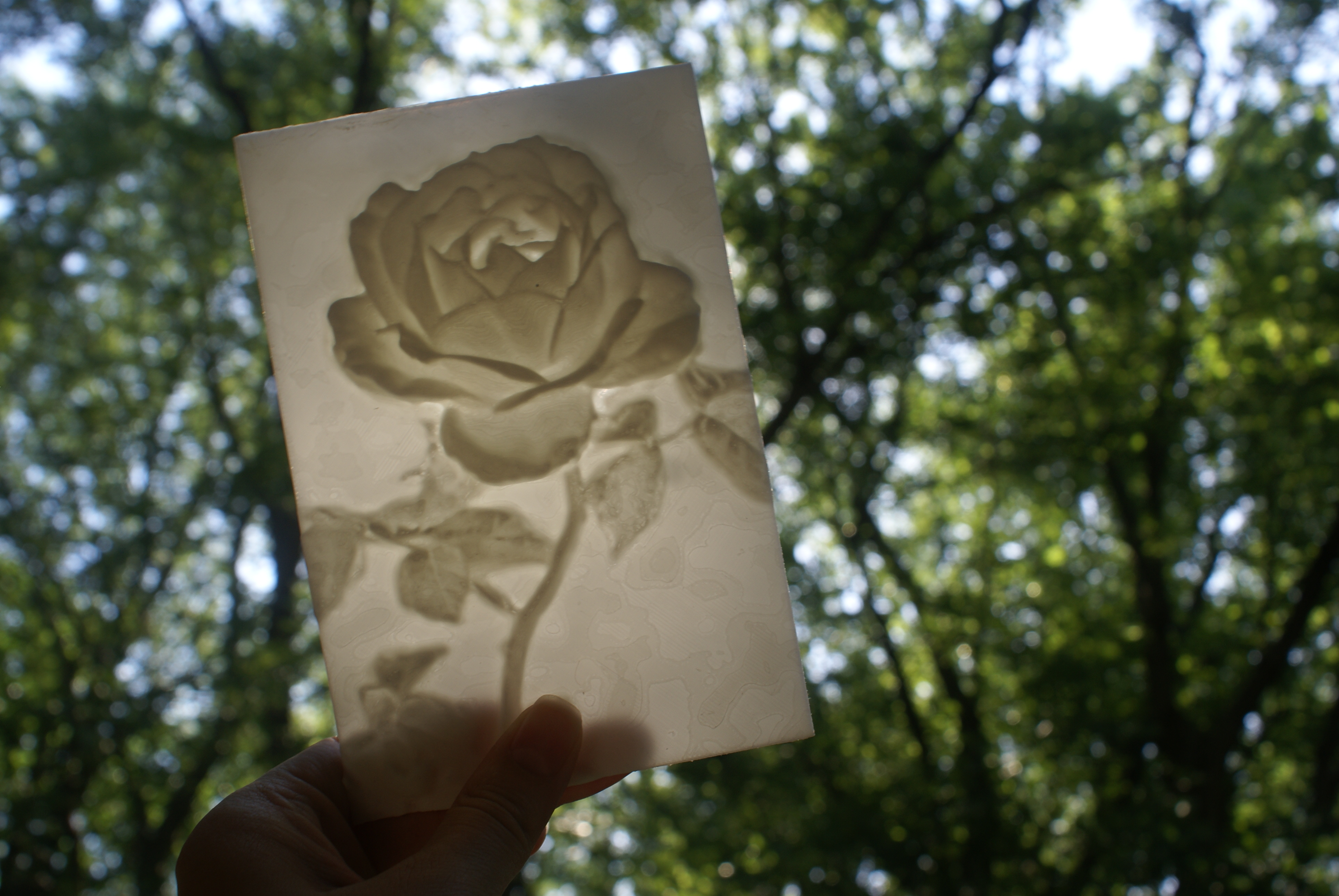 Rose "More-Than-a-Lithophane" 3D model