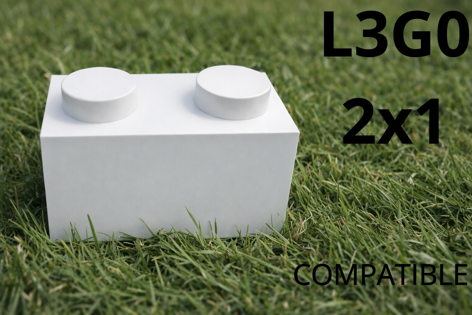 ILLEGAL LEGO PART 2x1