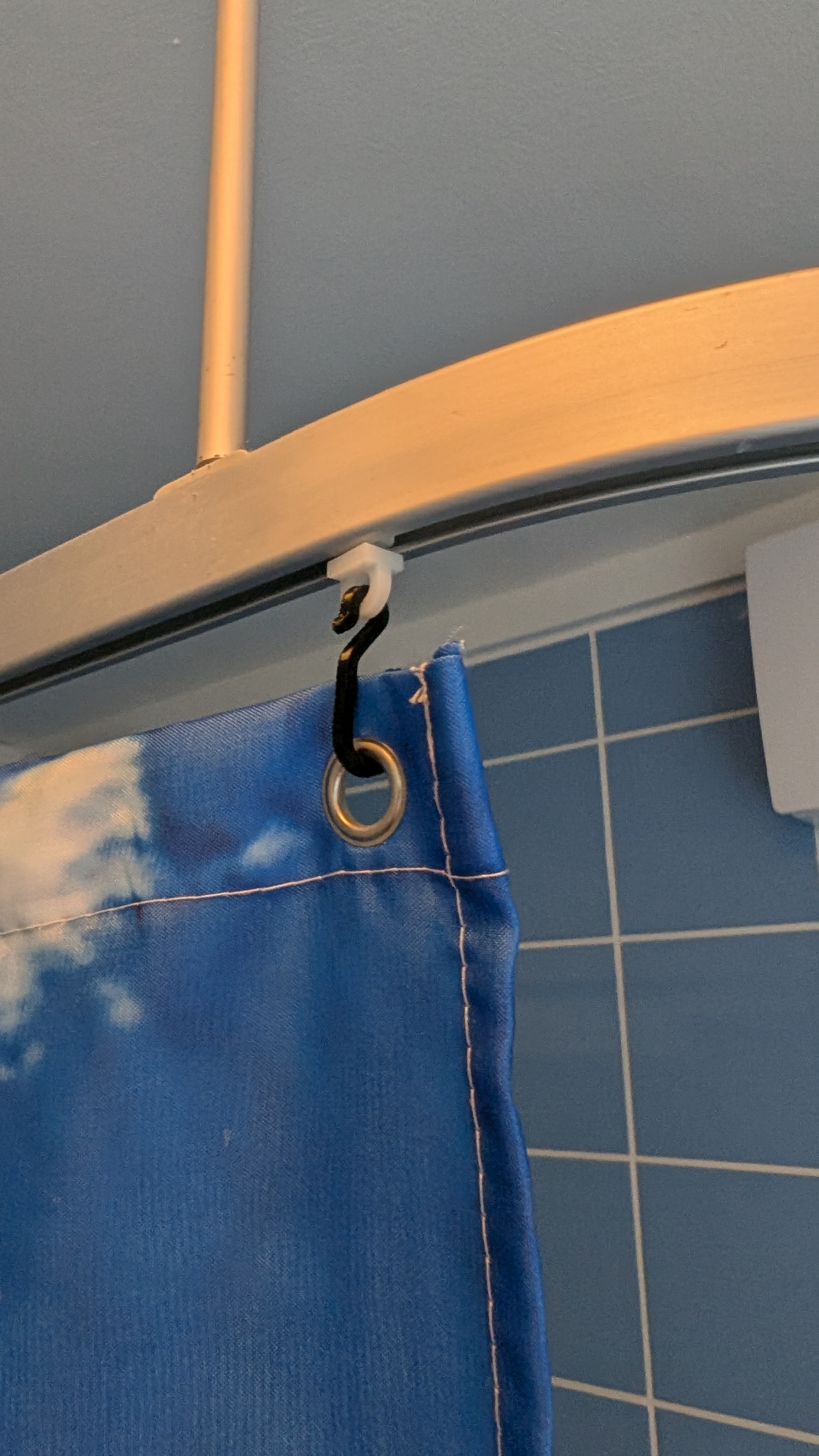 Shower Curtain Hook
