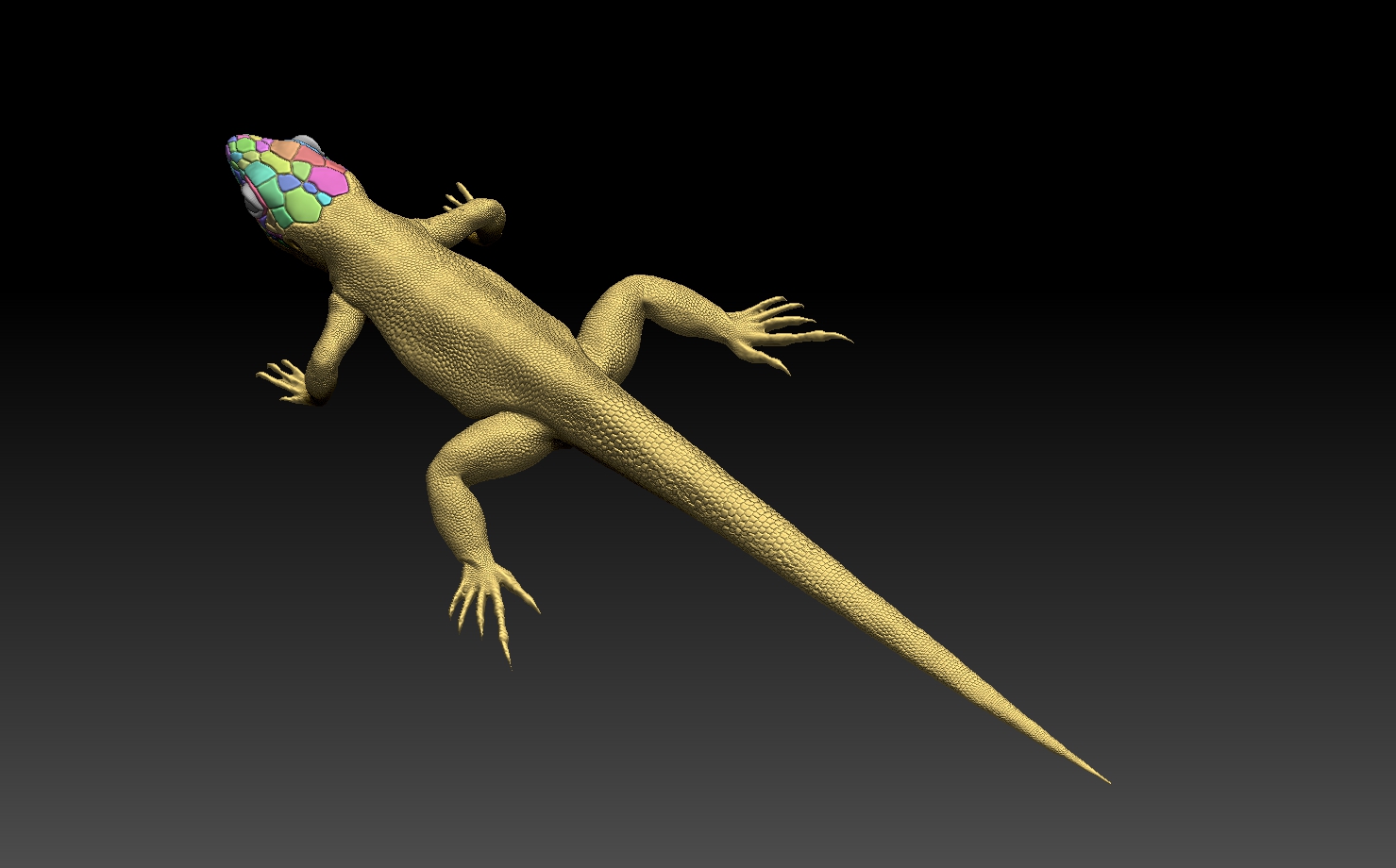 lizard — miniatura 14