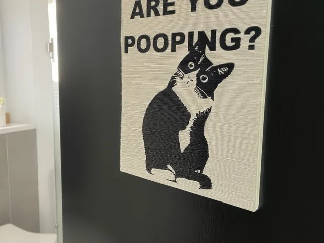 Funny Cat Bathroom Wall Sign