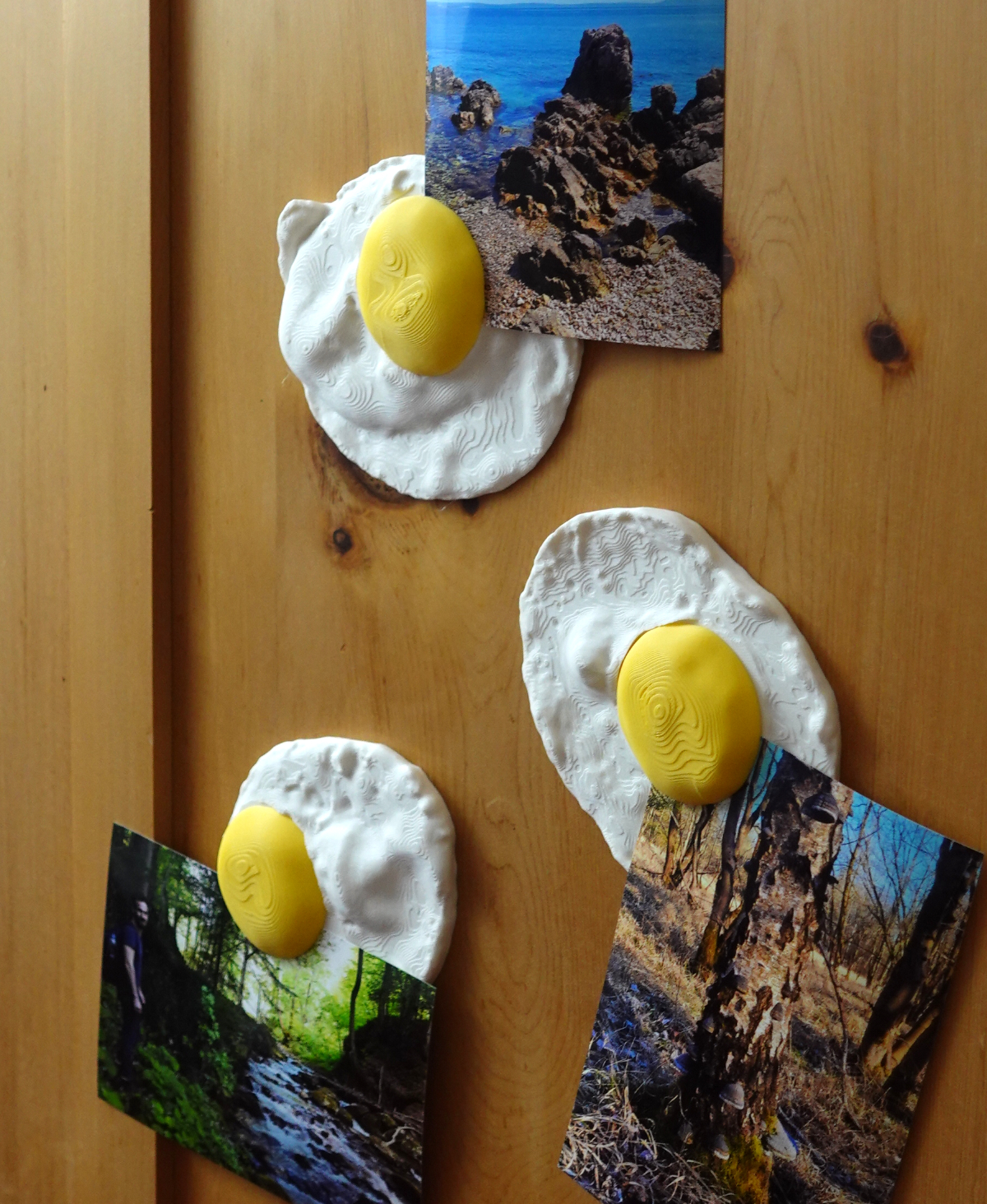 Photo holder eggs