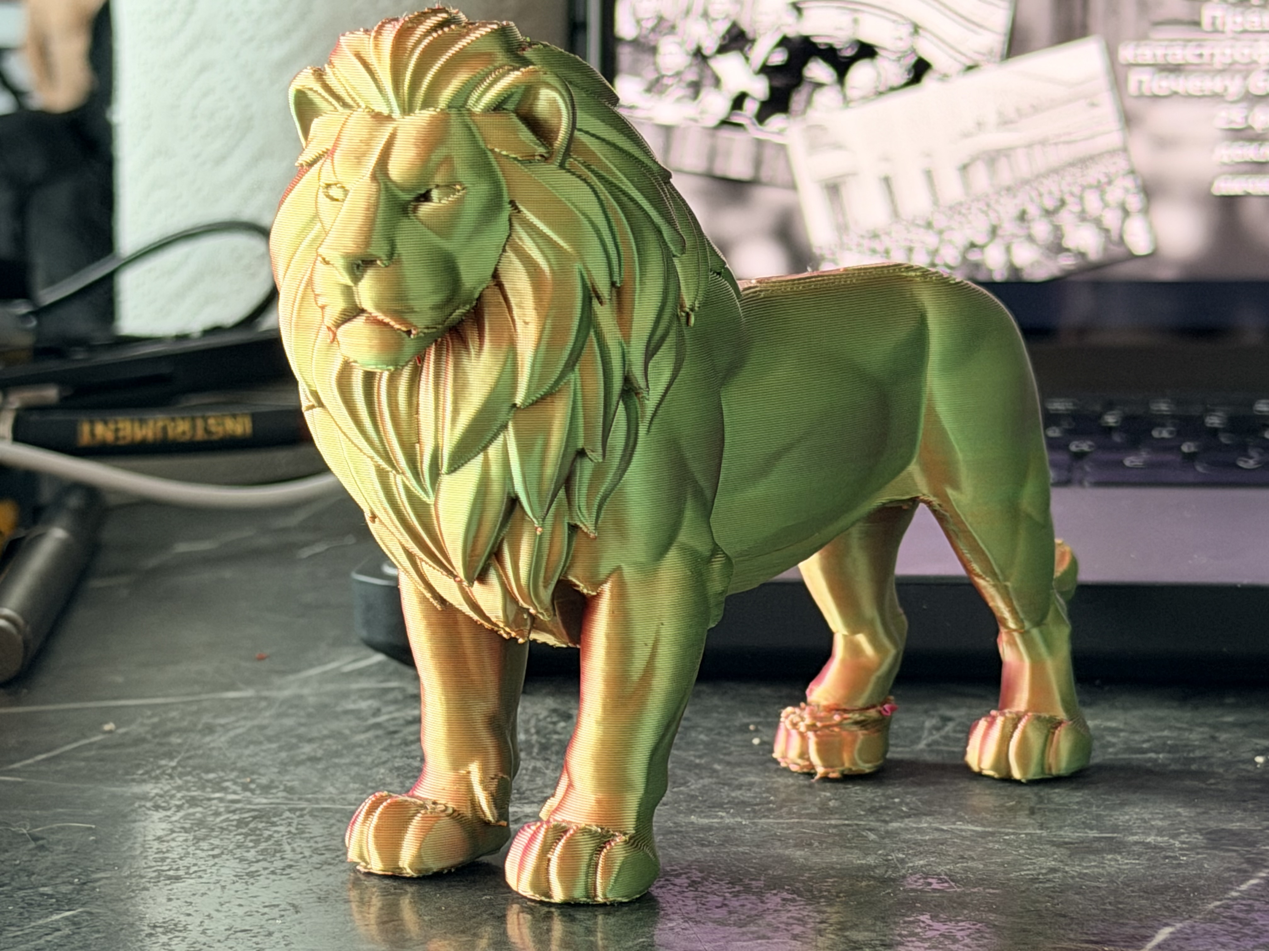 Lion