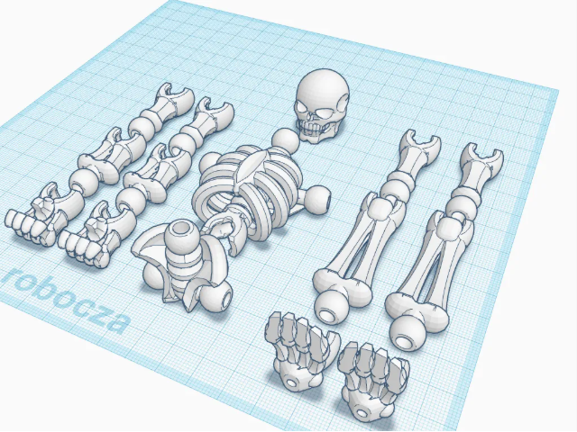 Articulated Skeleton