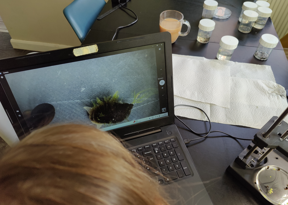 Miniatura 4 do modelo 3D USB Microscope Stand