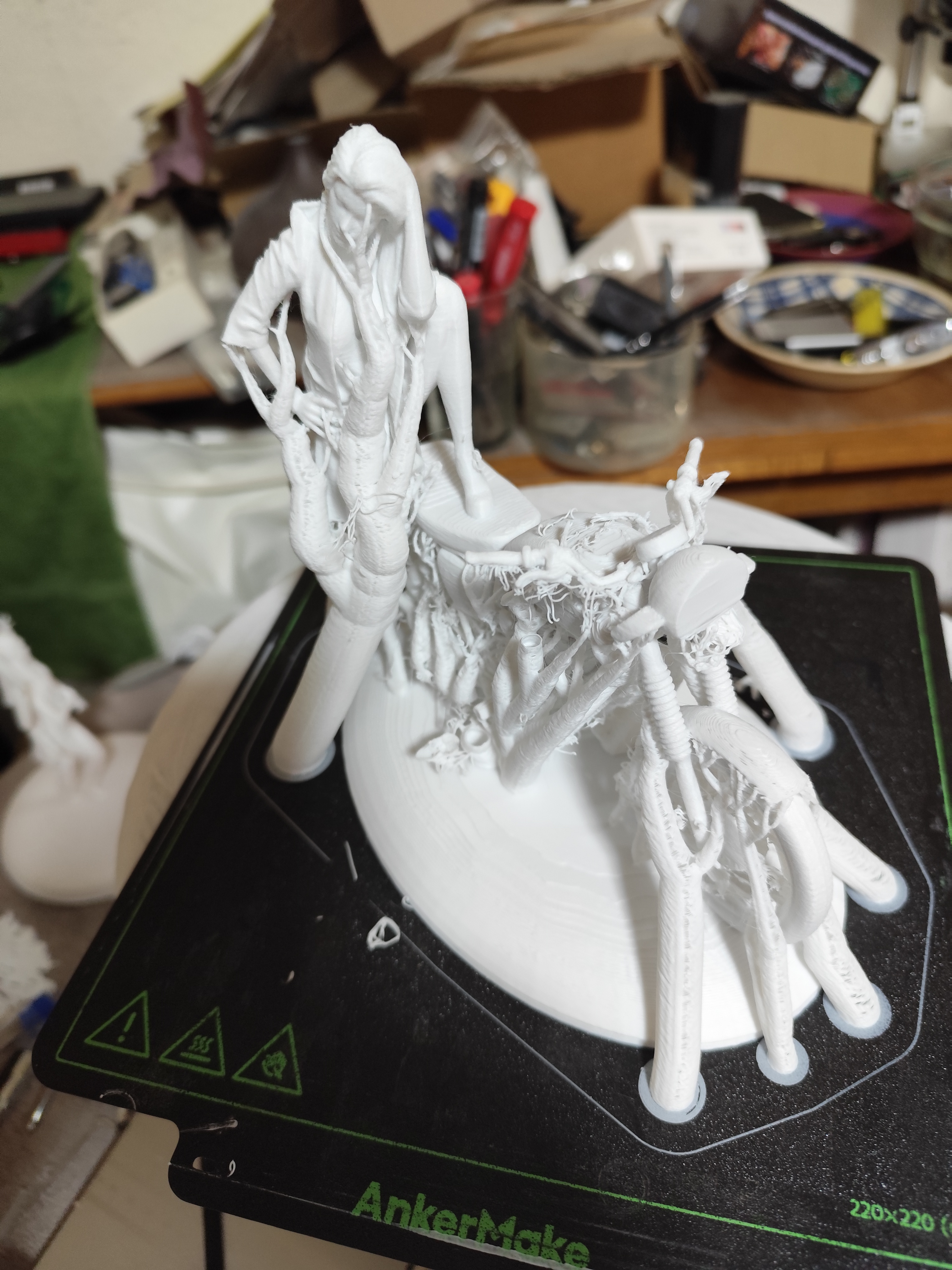 Biker Chick upgrade stronger wheels — miniatura 10