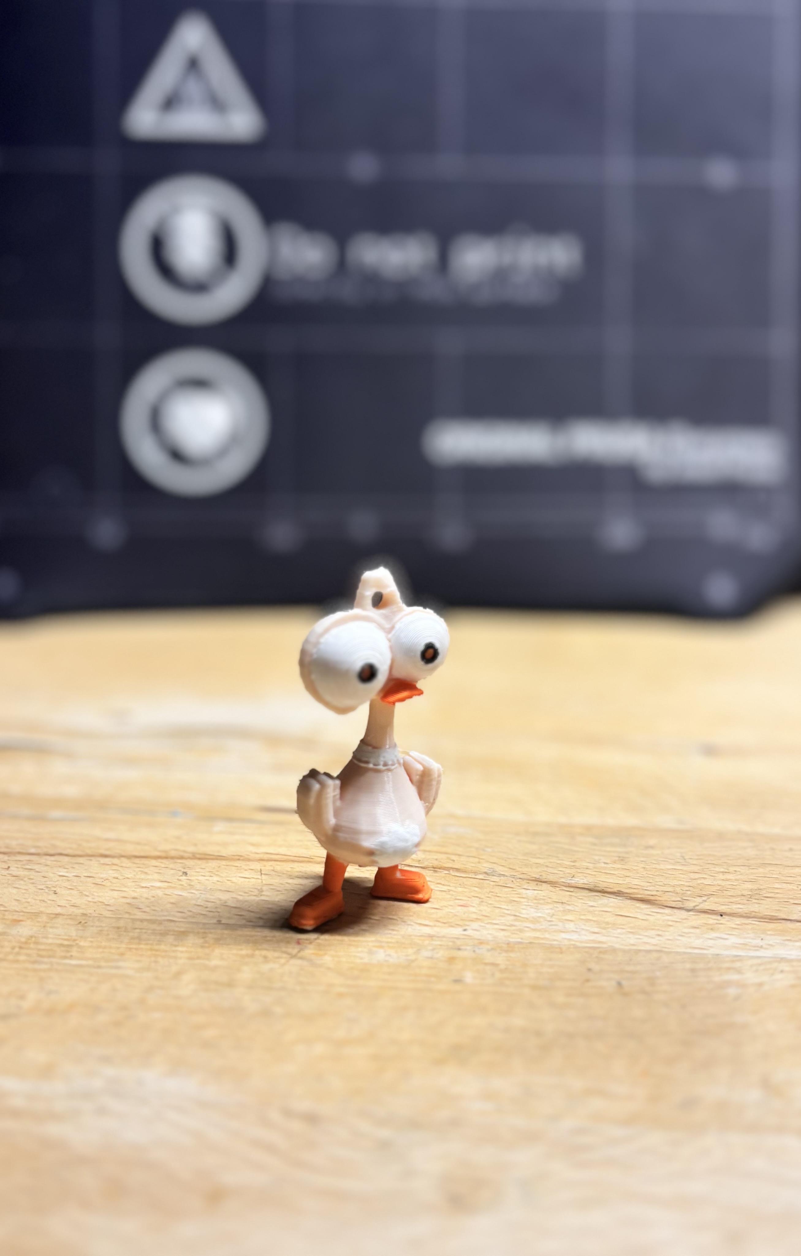 ostrich keychain