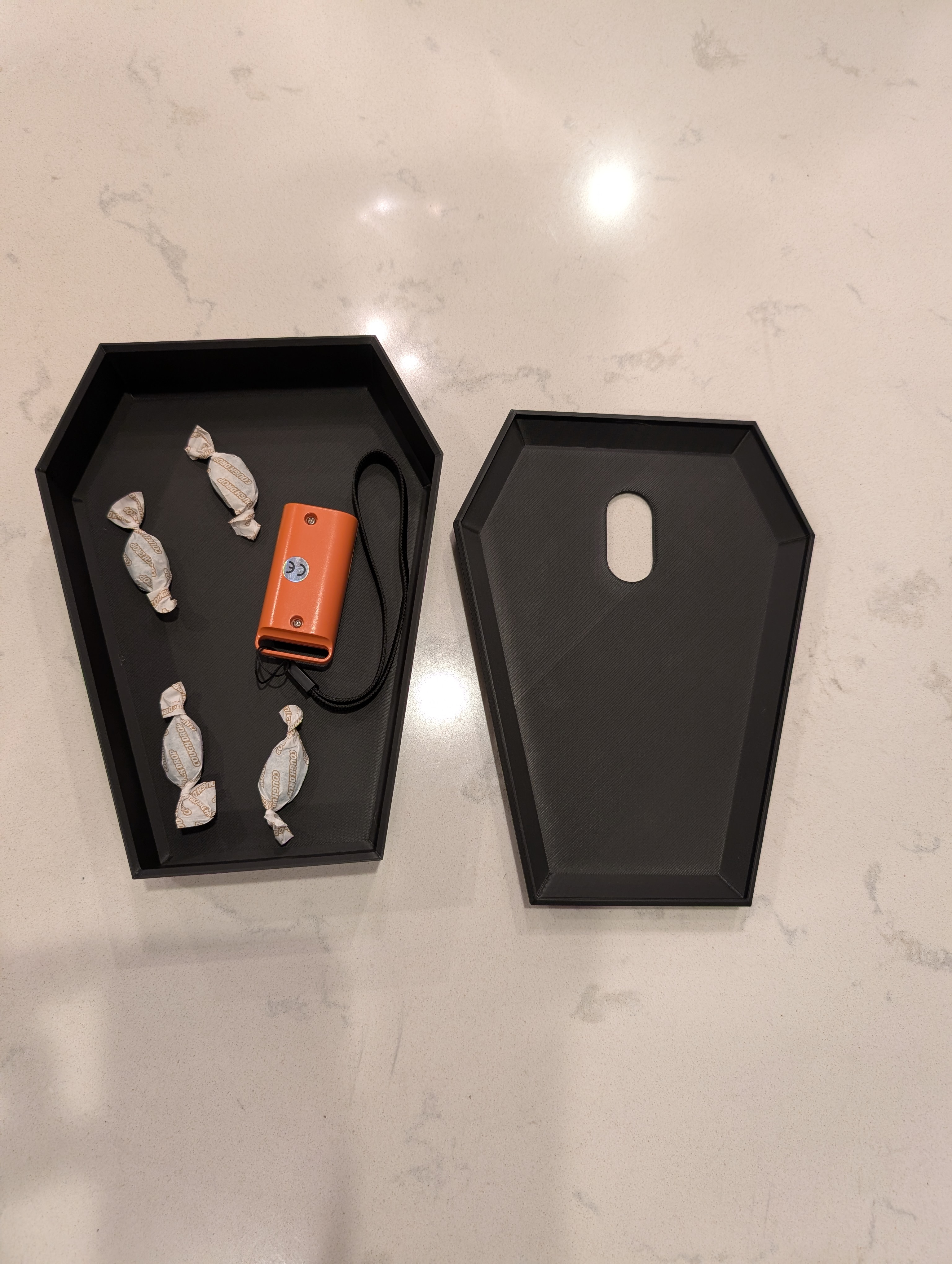 Coffin Storage Container — miniatura 2