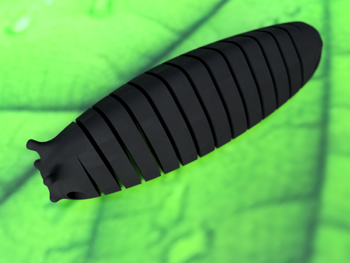 Slug - Key Holder — miniatura 2