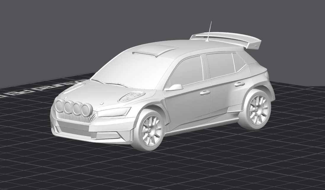 Rally závodní auto 5