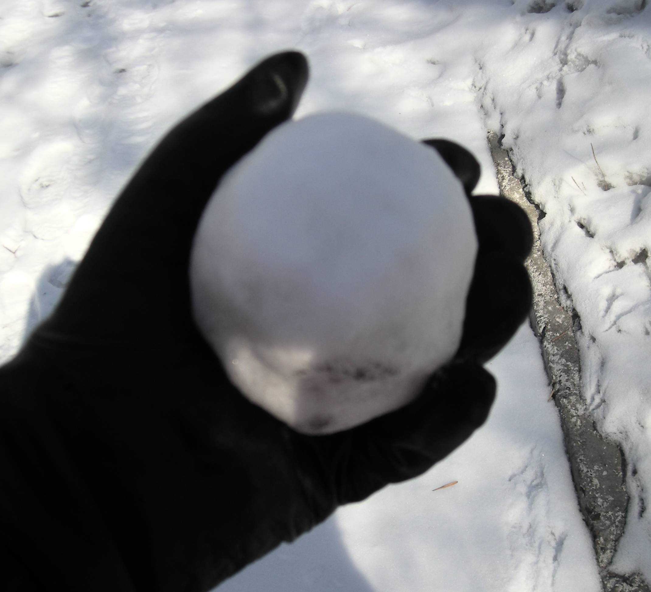 The snowball maker