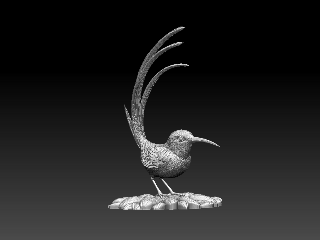 hummingbird — miniatura 4