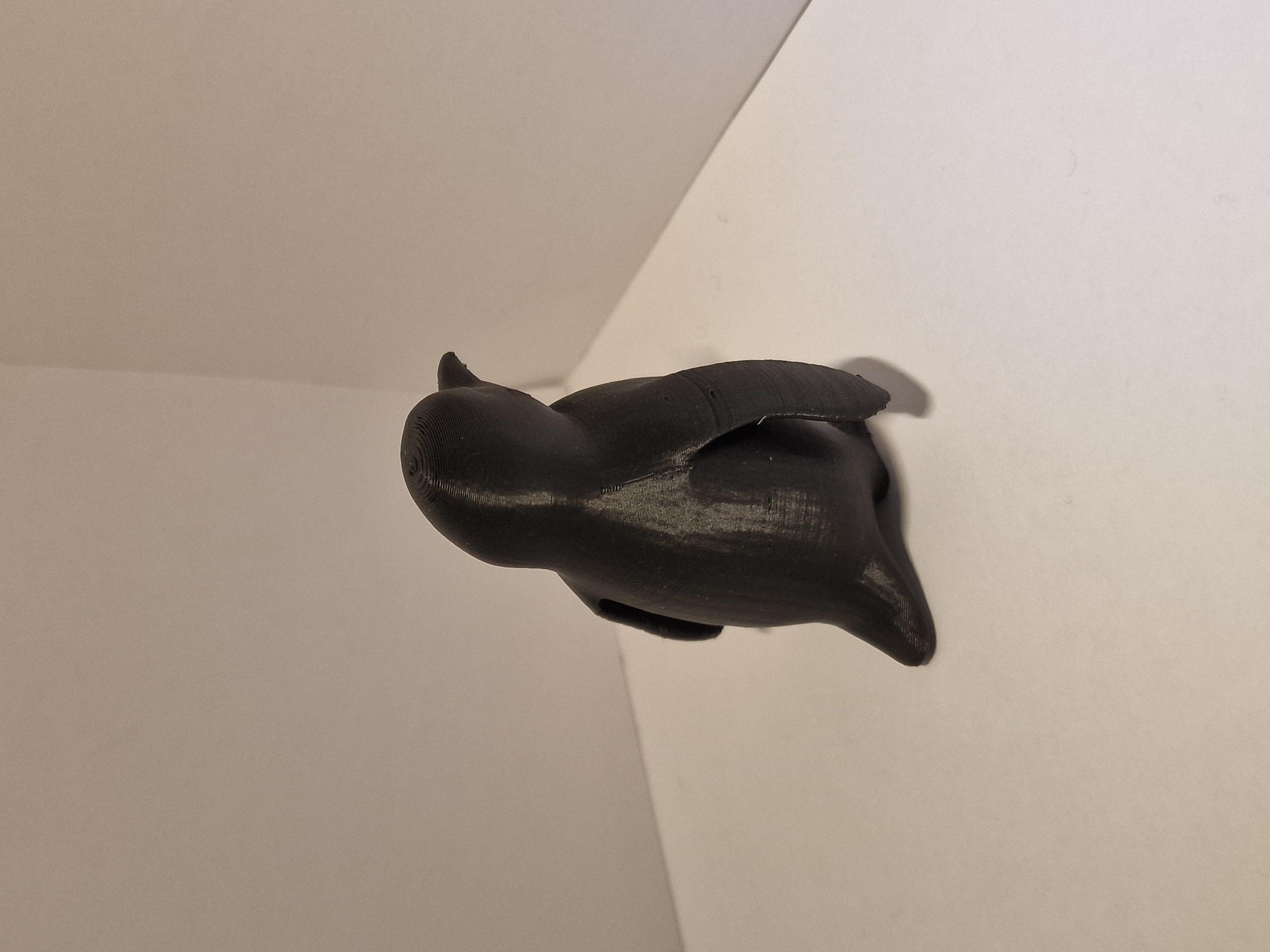 But why? Penguin — thumbnail 4