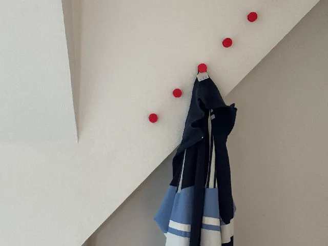 Wall Hanger / Coat Hook