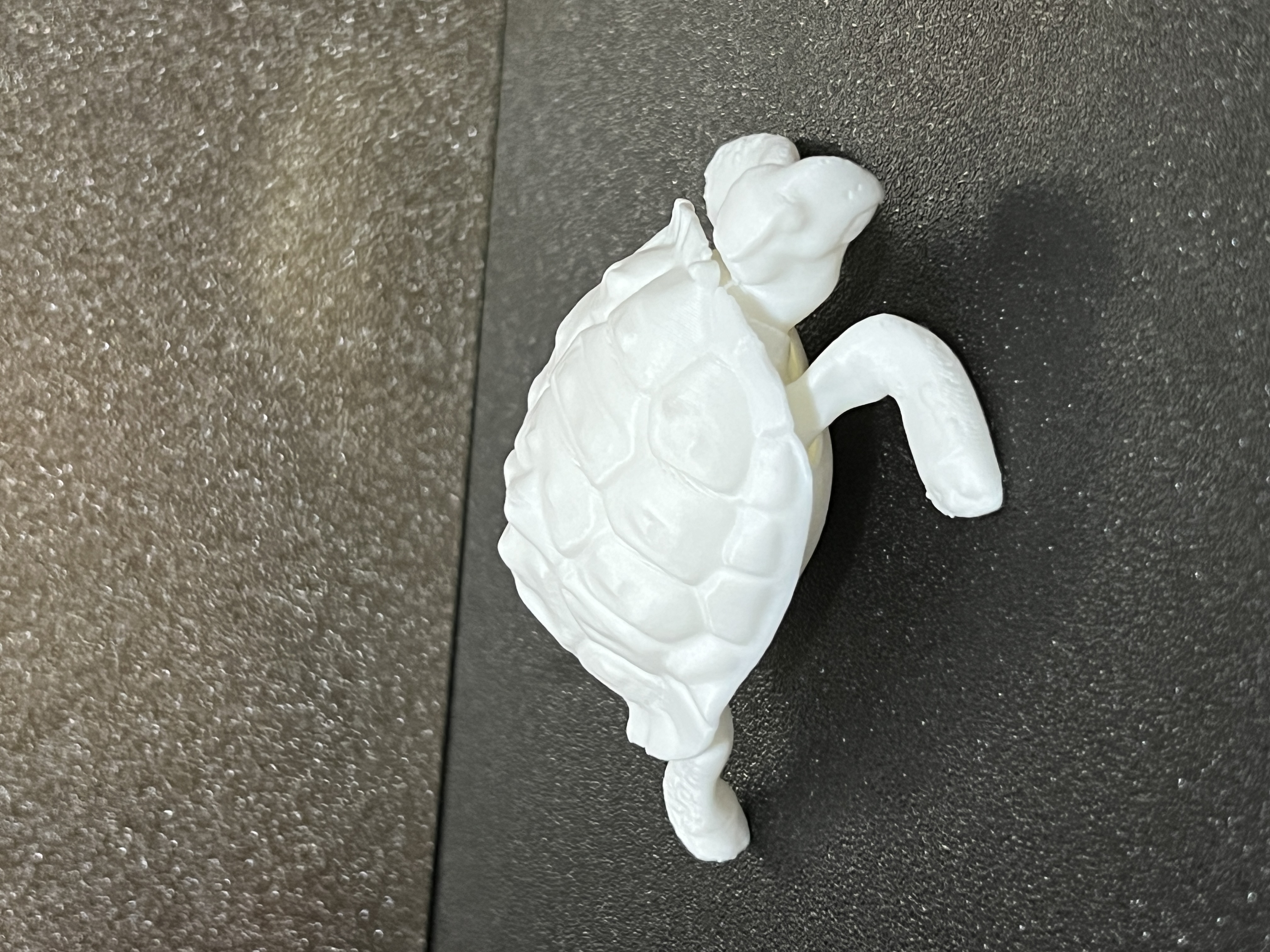 Tortoise — miniatura 3