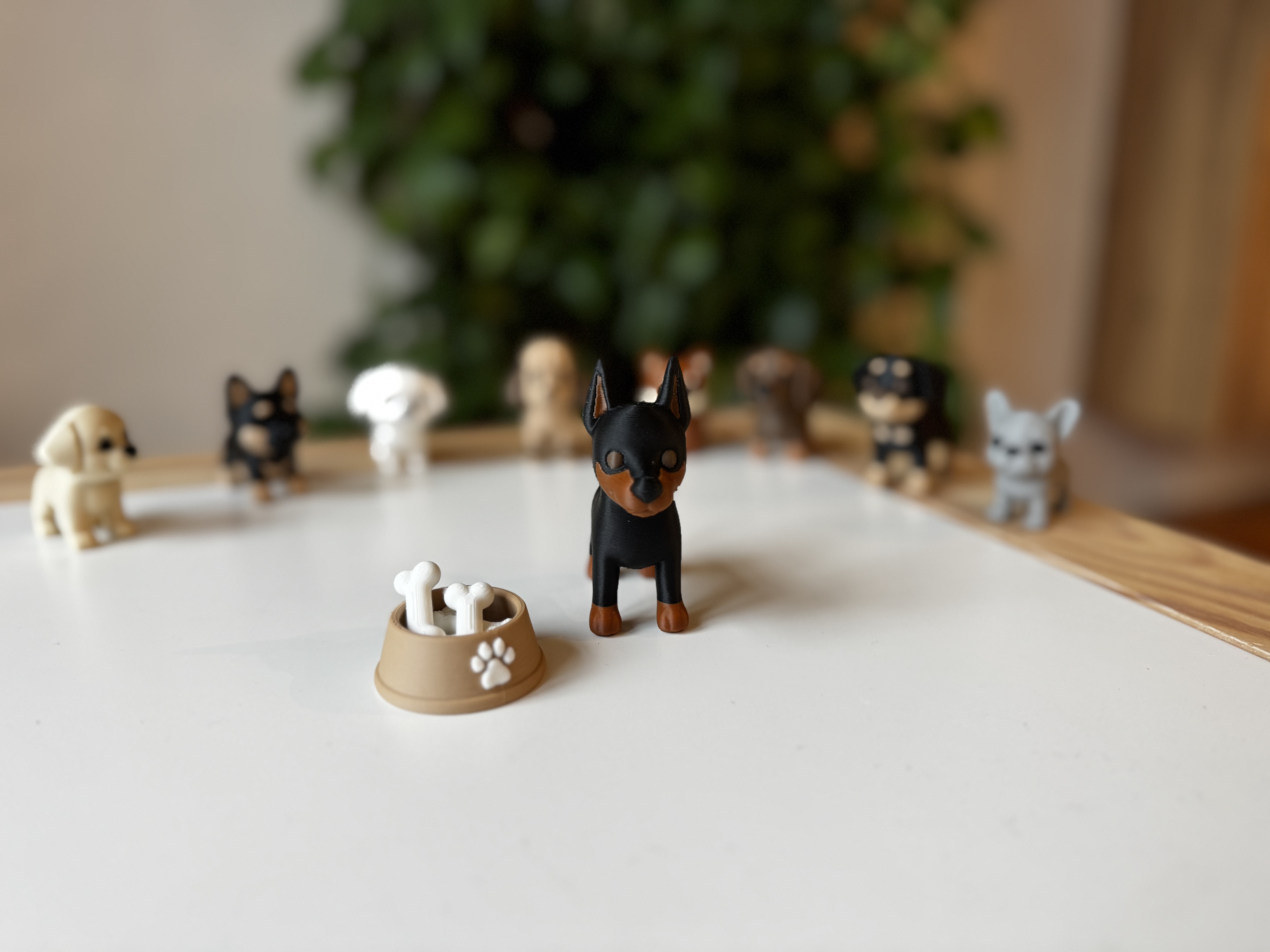 Miniatura 2 do modelo 3D Doberman Pinscher
