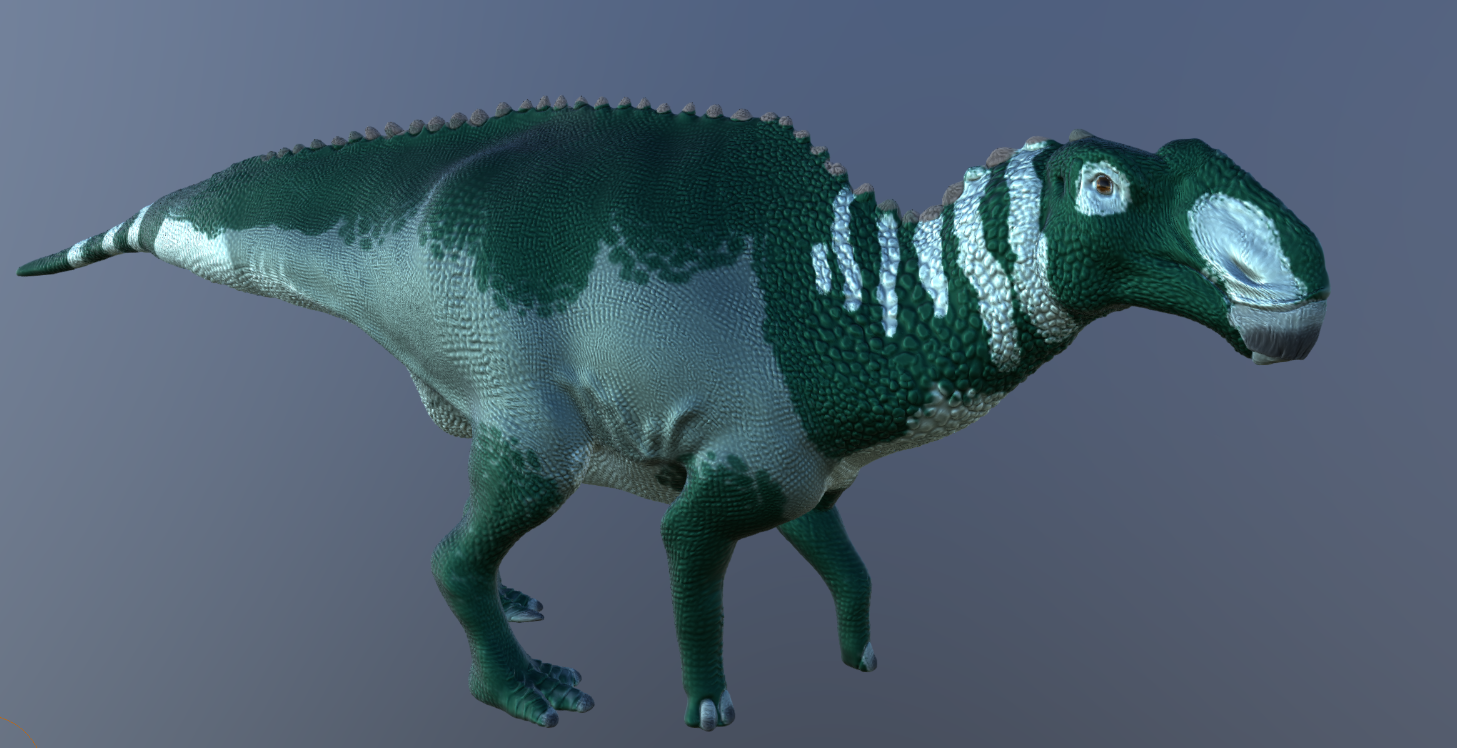 Revised Gryposaurus