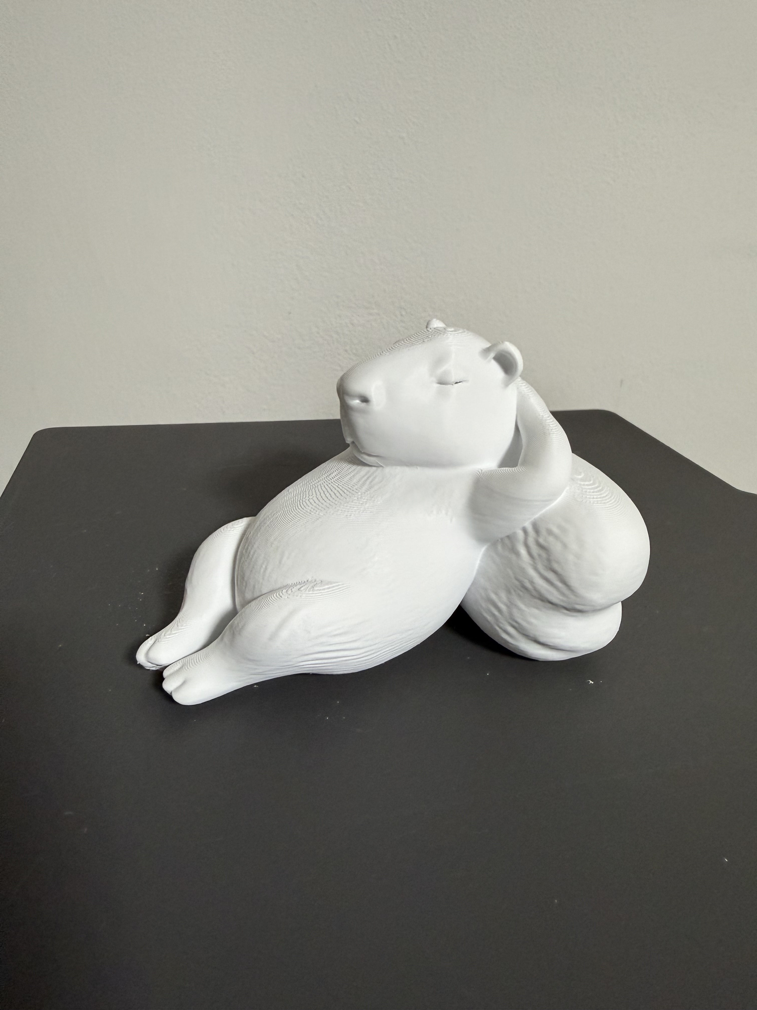 Miniatura 4 do modelo 3D Capibara Relax