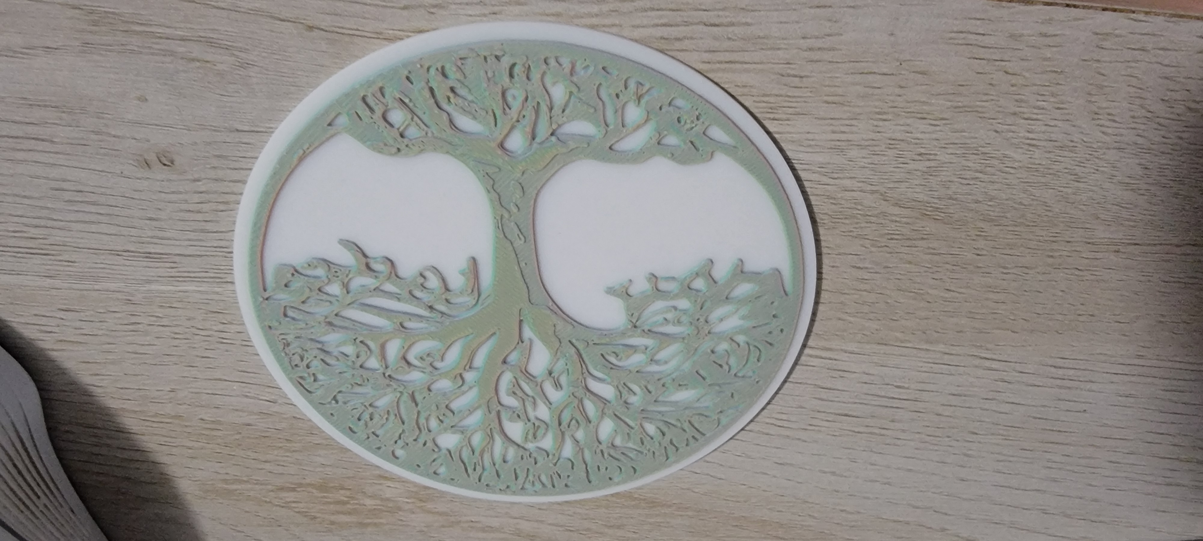 Tree of Life Coaster