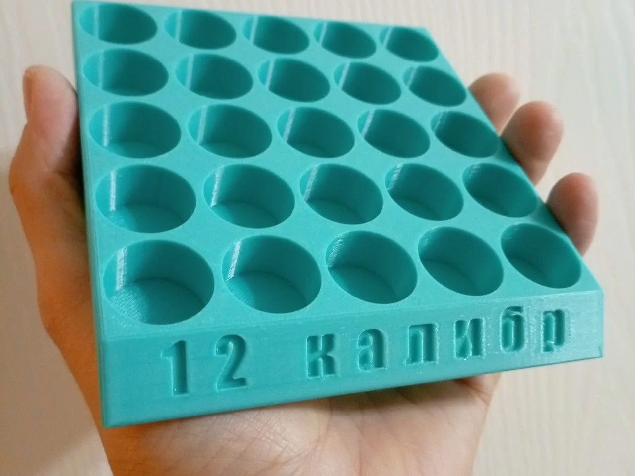12 Gauge tray for reloading