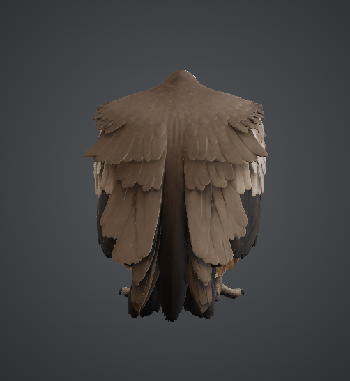 Realistic Vulture Bird Model — miniatura 3
