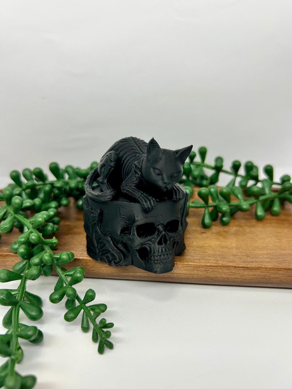 cat skull