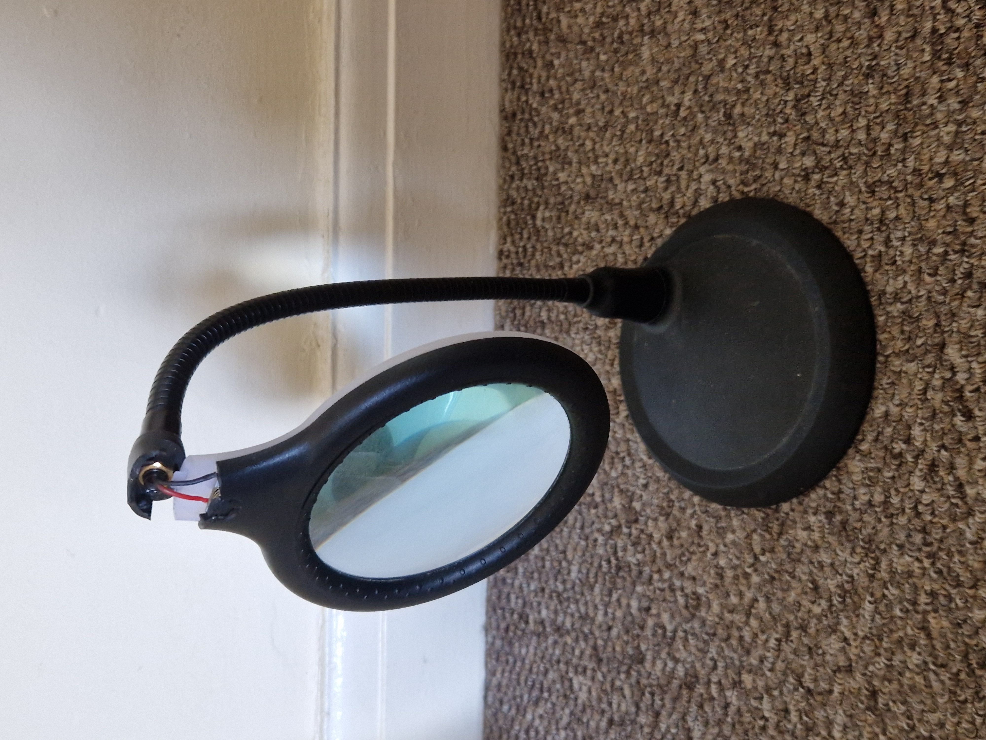Magnifying Lamp Shell