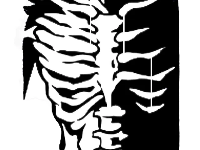 Ribcage 2D Stencil Design