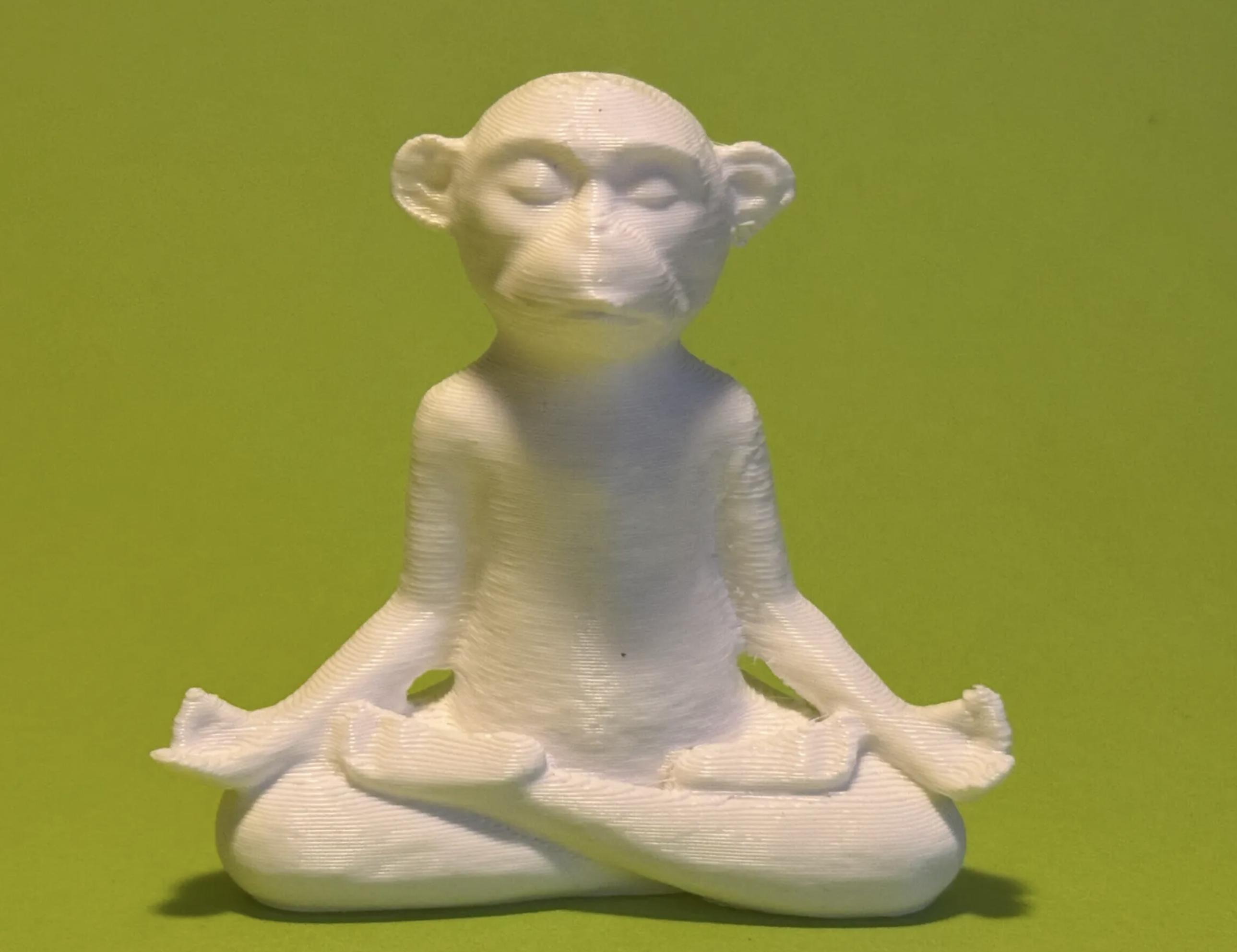 YOGA BUDDHA MONKEY