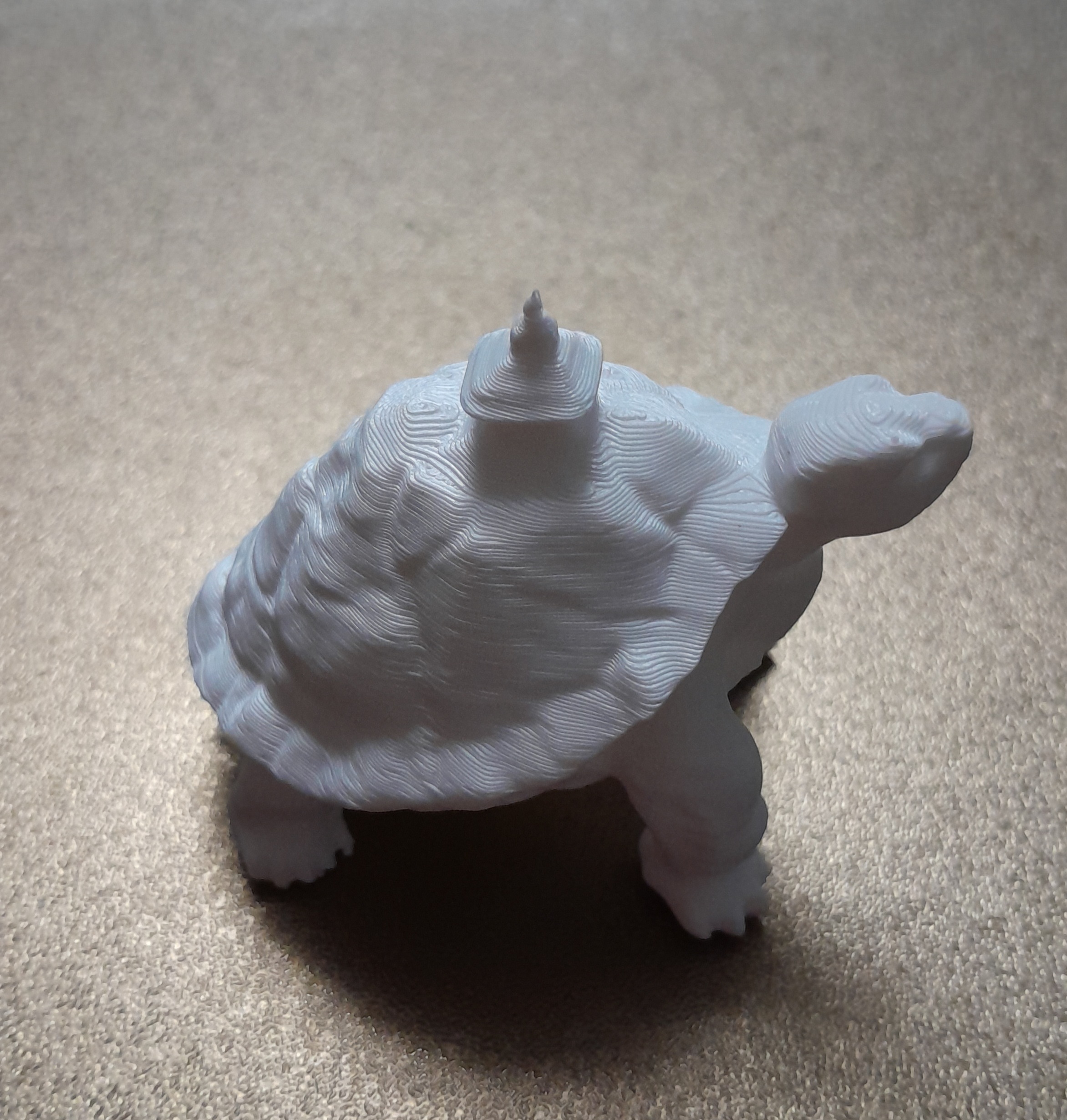 Tortoise — miniatura 2