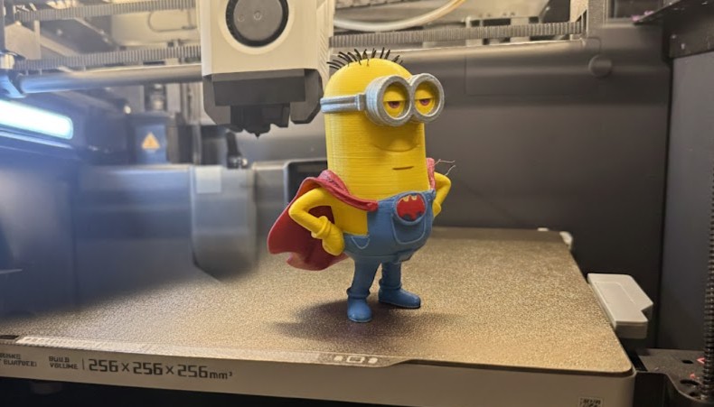 Batman Minion