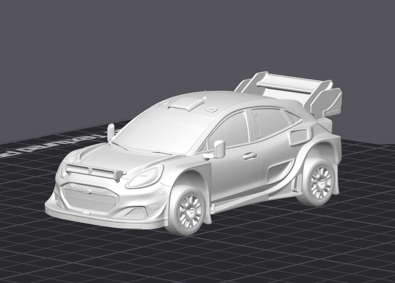 Rally závodní auto 1
