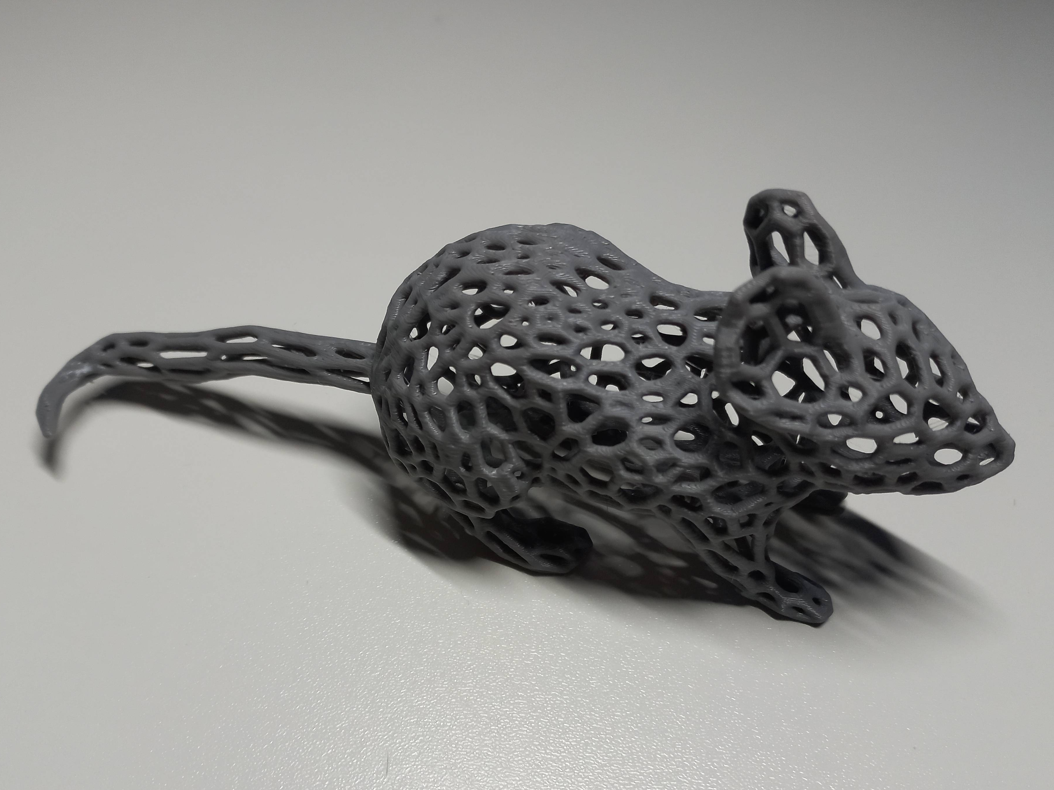 Mouse Voronoi — miniatura 2