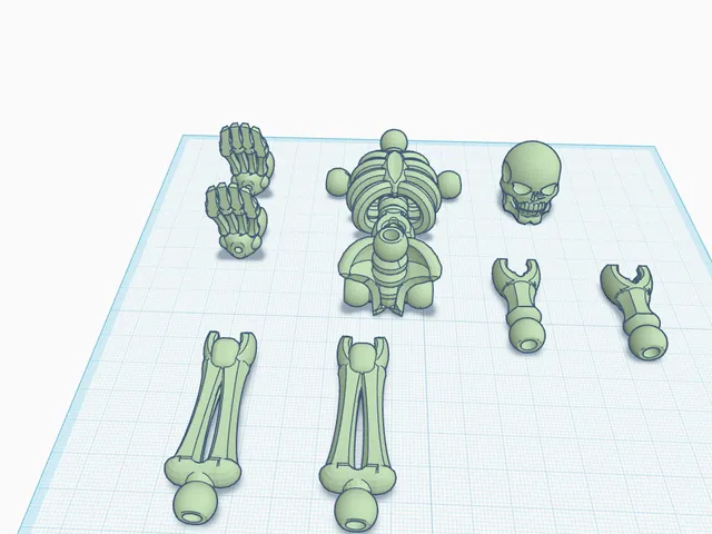 skeleton