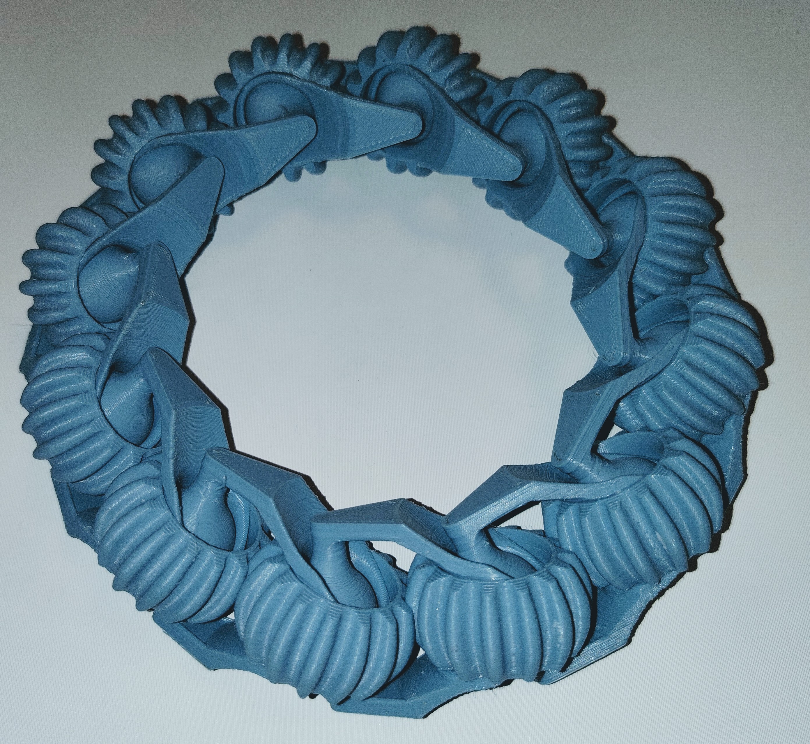 Flexi 12 Gear Chain Loop
