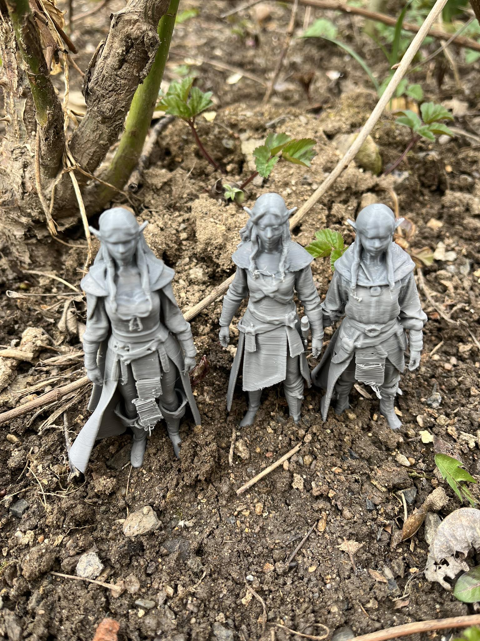 Elves like from Lord of the Rings