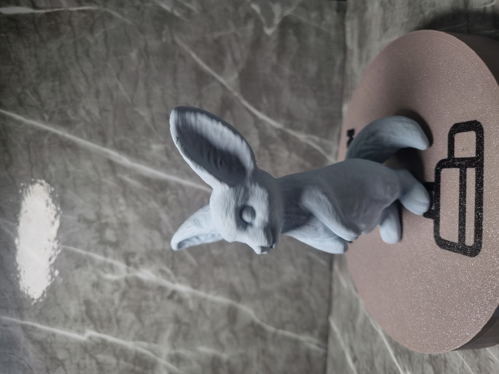 Fennec fox — miniatura 2